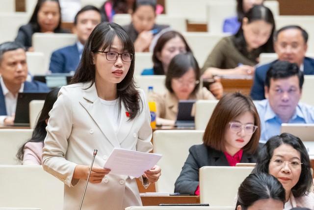 Đại biểu Trần Thị Quỳnh (đoàn Nam Định)