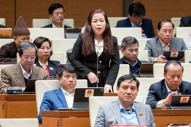 Đại biểu Vũ Thị Lưu Mai (đoàn Hà Nội)