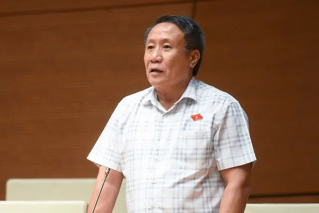 Đại biểu Hà Sỹ Đồng (đoàn Quảng Trị)
