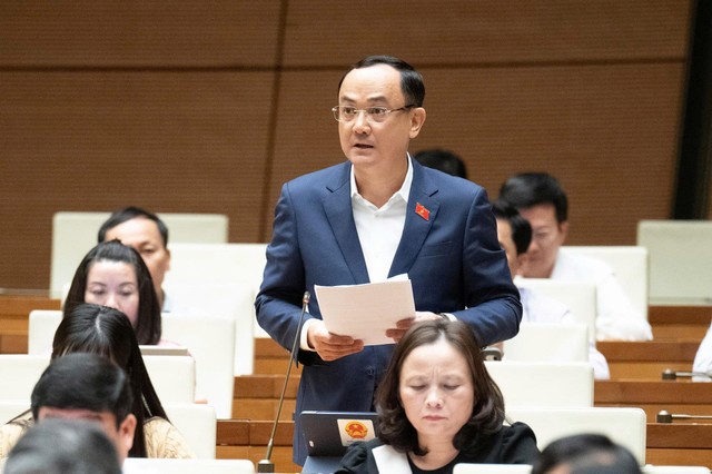 Đại biểu Nguyễn Ngọc Sơn (đoàn Hải Dương)
