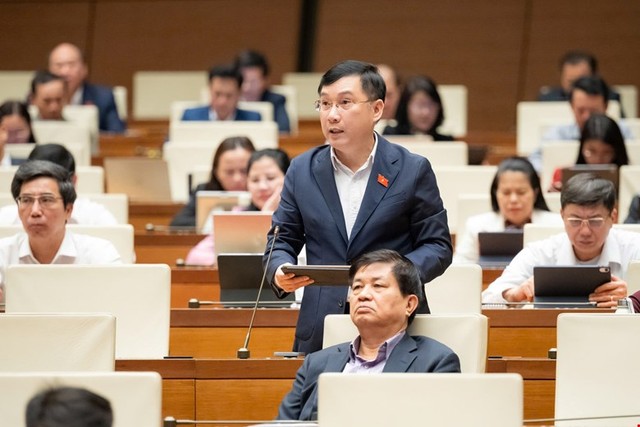 Đại biểu Lê Hoàng Anh phát biểu