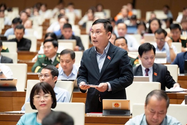 Đại biểu Lê Hoàng Anh (đoàn Gia Lai)