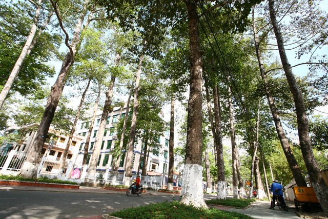 Bất ngờ, Lai Châu vượt Hà Nội thành địa phương đắt đỏ nhất ảnh 1