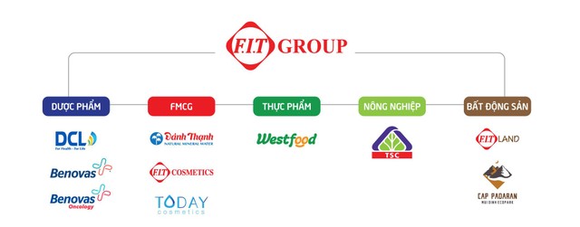 FIT Group sở hữu những công ty có tiềm năng tăng trưởng cao trong các ngành hàng phát triển