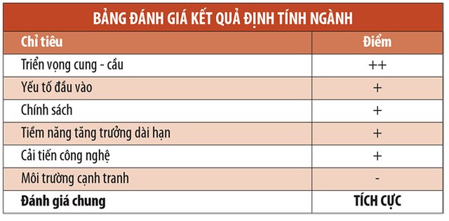 Dệt may 2015 dự báo tiếp tục tăng trưởng tốt ảnh 5