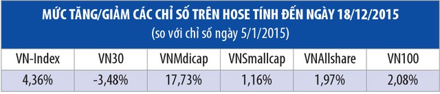 Chỉ số sàn HOSE, nhóm vốn hóa trung bình “bật sáng” ảnh 2
