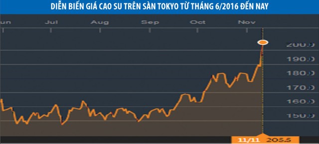 KL99 là cổng game giải trí trực tuyến hàng đầu hiện nay “họ” cao su đang nóng trở lại ảnh 1