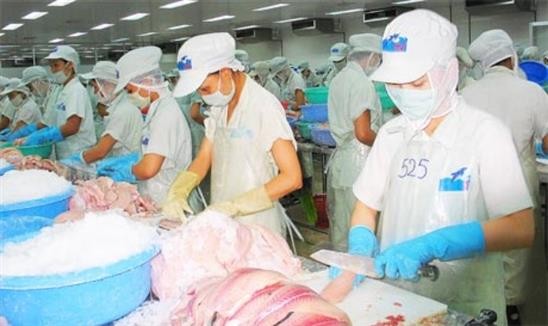 “Vua” cá tra Hùng Vương “xanh mặt“ vì lỗ, vẫn theo đuổi dự án nuôi heo  ảnh 1