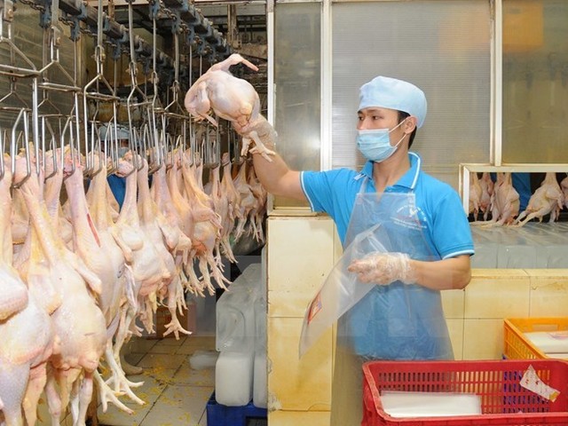 Koyu & Unitek (Đồng Nai) chuẩn bị xuất khẩu thịt gà sang Nhật Bản ảnh 1