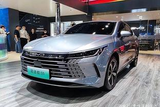 Đà Nẵng: Sử dụng tạm cảng Sông Hàn làm nơi đỗ xe phục vụ APEC 2017 ảnh 1