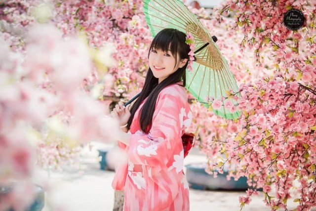 Lễ hội hoa anh đào Nhật Bản - Hà Nội 2019 sẽ diễn ra trong 3 ngày ảnh 1