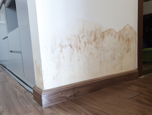 Sơn Jotun: Mới nhận nhà đã ẩm mốc, lên rêu? ảnh 1