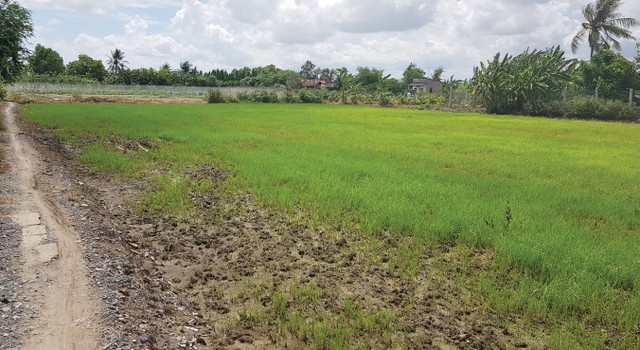 Long An: Dự án bị thu hồi, chính quyền giúp chủ Kl99ok phiên bản mới đòi tiền đặt cọc ảnh 1
