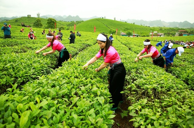 Vinamilk công bố Nghị quyết HĐQT mua trên 51% GTNFoods ảnh 1