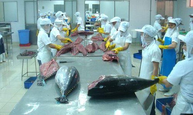 Cuối năm xuất khẩu tôm và cá ngừ đảo chiều nhích nhẹ ảnh 1