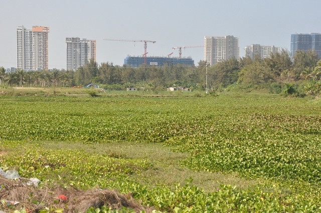 Đà Nẵng thúc tiến độ dự án khơi thông sông Cổ Cò ảnh 1