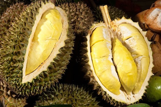 Sầu riêng Đạ Huoai: Những ông Mặt Trời thơm ảnh 1