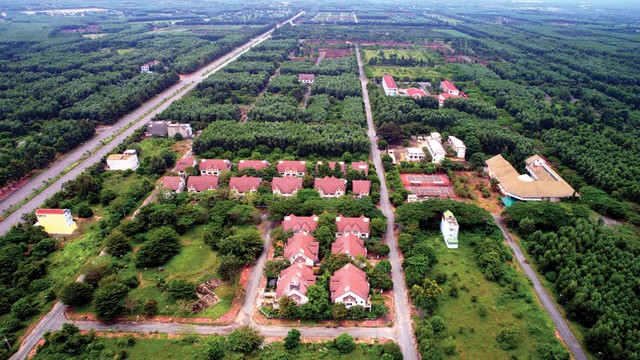 Cò đất lại đổ về Đồng Nai ảnh 1