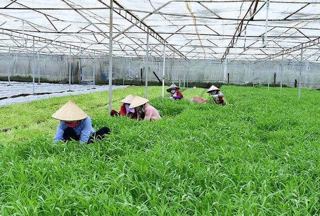 Sở Tài nguyên và Môi trường Bình Dương “sáng tác” cớ, Vinamit liêu xiêu ảnh 1