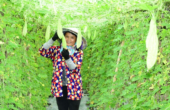 Sở Tài nguyên và Môi trường Bình Dương “sáng tác” cớ, Vinamit liêu xiêu ảnh 3