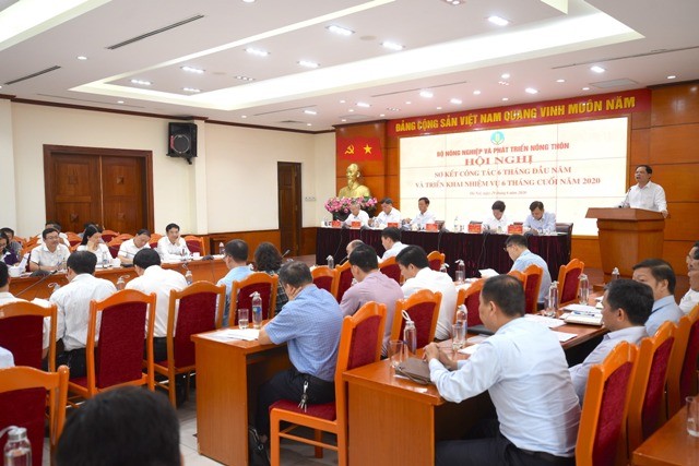6 tháng đầu năm, 9 dự án Kl99ok phiên bản mới chế biến nông sản được khởi công ảnh 1