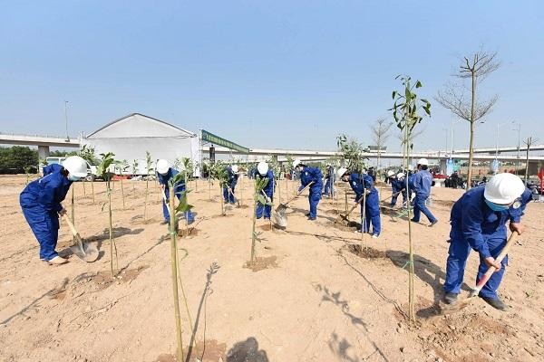 Hà Nội phấn đấu năm 2021 trồng được hơn 300.000 cây các loại, đến năm 2030 mỗi người dân Hà Nội trồng một cây xanh... (Ảnh: Thanh Hải)