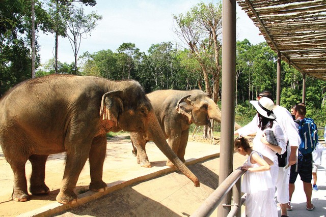 … sống gần gũi với thiên nhiên