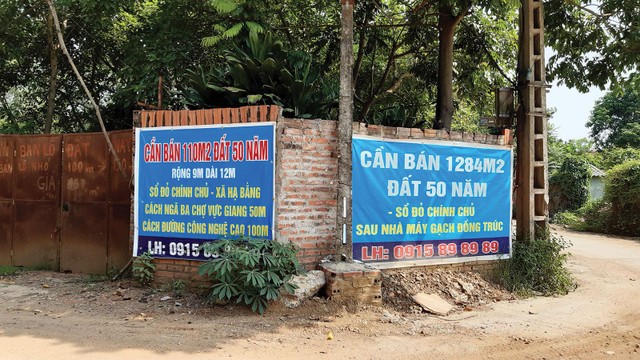 Rao bán đất nền tại Hòa Lạc