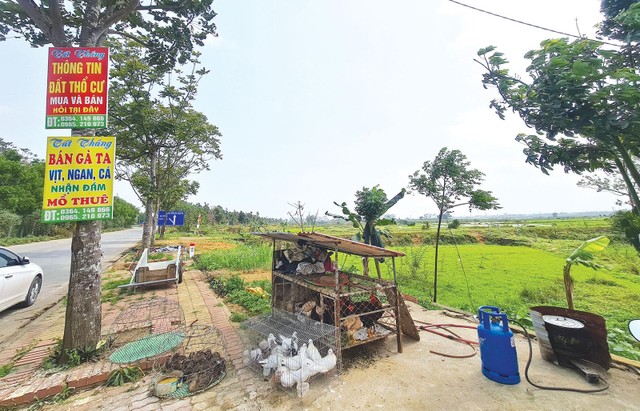 Giá đất nền ở nhiều địa phương liên tục tăng nóng. Ảnh: Dũng Minh