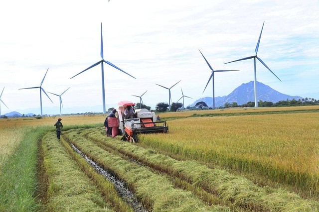 Nhiều dự án năng lượng tái tạo trên địa bàn tỉnh Ninh Thuận đã đi vào hoạt động.