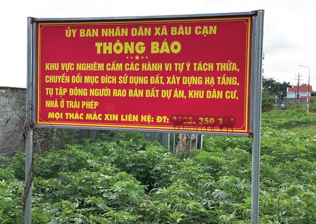 Một giải pháp chặn sốt
