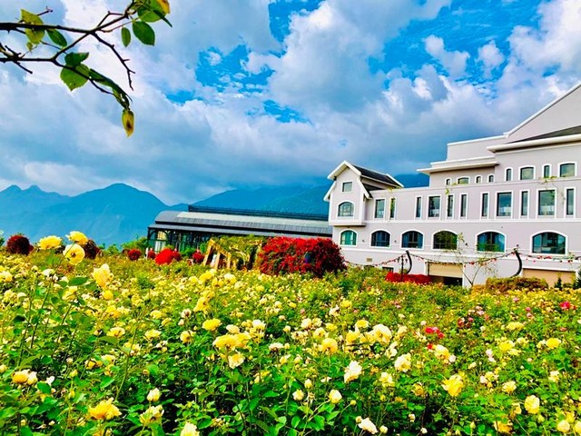 Nắng vẫn cứ vàng ruộm, mây vẫn bay, trời xanh trong mát dịu, và Sa Pa sẽ an nhiên đẹp say lòng trong ngàn vạn sắc hoa từ nay cho đến tháng 7, kịp cho một mùa hè trốn nóng ở nơi thiên đường hoa giữa lưng chừng trời.