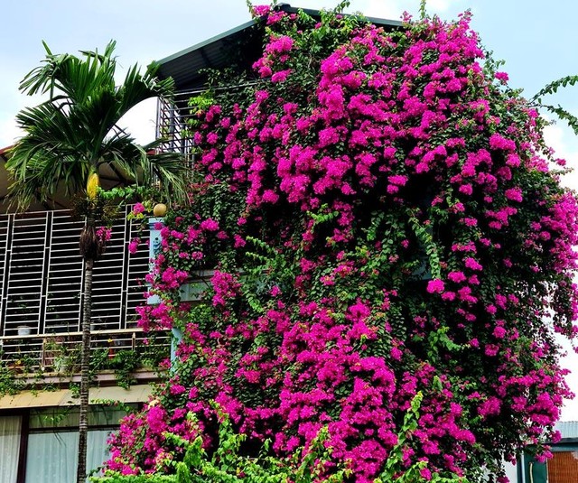 Qua mỗi khung cửa sổ, lại tìm thấy một Hà Nội thật khác biệt, nhiều sắc màu.