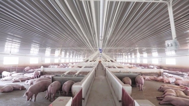 Dự án có tổng mức Kl99ok phiên bản mới lên đến 100 tỷ đồng - Ảnh minh họa