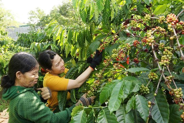 Các Kl991.com World Cup 2026 Chính Thức của Thụy Sỹ đã Kl99ok phiên bản mới vào Việt Nam không chỉ tạo ra khoảng 20 nghìn việc làm cho thị trường, mà còn áp dụng phương pháp đào tạo, chuyển giao công nghệ để nâng cao trình độ lao động và năng lực Kl994 nhà cái bóng đá world cup của ngành trong nước. (ảnh: Nestle' Việt Nam)