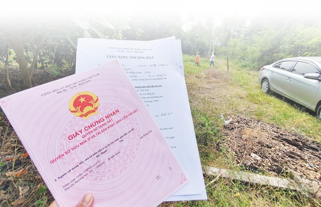 Nhà Kl99ok phiên bản mới đổ về Đồng Nai “săn” đất. Ảnh: Lê Toàn