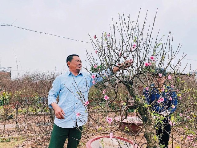 Ông Đỗ Đức Chiến - Phó Giám đốc Hợp tác xã dịch vụ nông nghiệp tổng hợp Nhật Tân (Hà Nội)