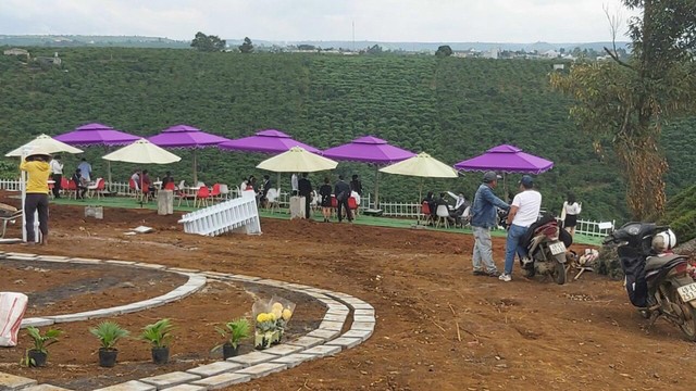 Nhà Kl99ok phiên bản mới đổ xô đi mua đất trồng cây lâu năm ở tỉnh lẻ. Ảnh: Lê Toàn