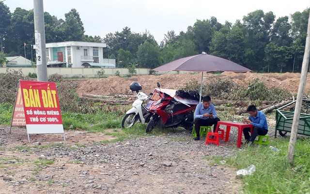 Nhiều người hái quả ngọt, những cũng không ít người ôm trái đắng khi Kl99ok phiên bản mới vào đất. Ảnh: Việt Dũng