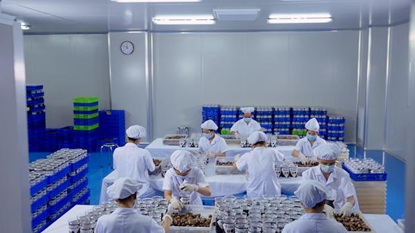 Dược phẩm Đông Á có nhà máy Kl994 nhà cái bóng đá world cup tỏi đen có diện tích lớn nhất Việt Nam vào năm 2020.