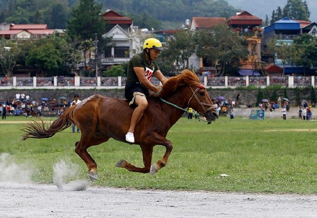 Mặc dù là một cuộc thi chính thống, nhưng trang phục của các nài ngựa vẫn khá đơn giản