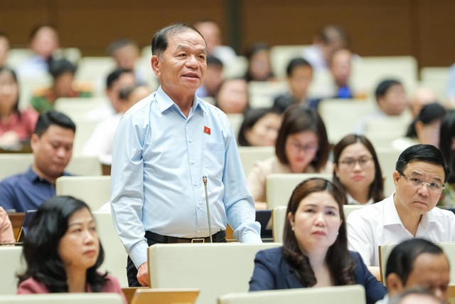 Đại biểu Quốc hội Lê Thanh Vân (Cà Mau).