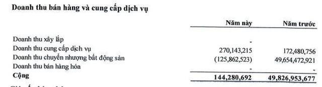 Cơ cấu doanh thu quý I/2022 của NDN (Nguồn: BCTC).