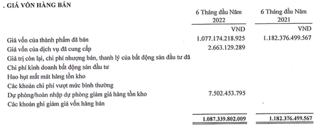 TDS bắt đầu dự phòng giảm giá tồn kho trong 6 tháng đầu năm 2022 (Nguồn: BCTC).