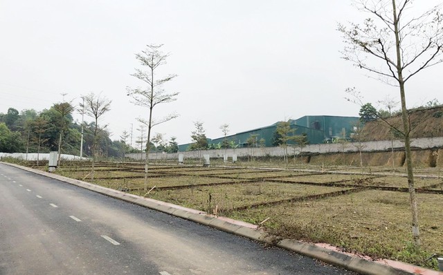 Pháp lý đất đai rất phức tạp. Ảnh: Dũng Minh