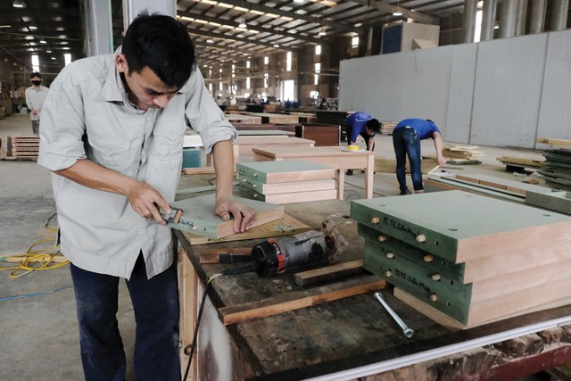 Kl991.com World Cup 2026 Chính Thức xuất khẩu gỗ “thấm đòn” suy thoái. Ảnh: Dũng Minh