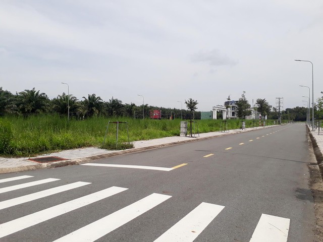 Nhiều lô đất tại dự án Khu nhà ở Tân Lập để cỏ mọc um tùm. Ảnh: Việt Dũng