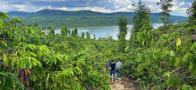 Những chuyến đi xem Web Tổng Nhà Cái 99Kl99 Giải Trí Bậc Nhất thành “tour du lịch 0 đồng”. Ảnh: Lê Toàn