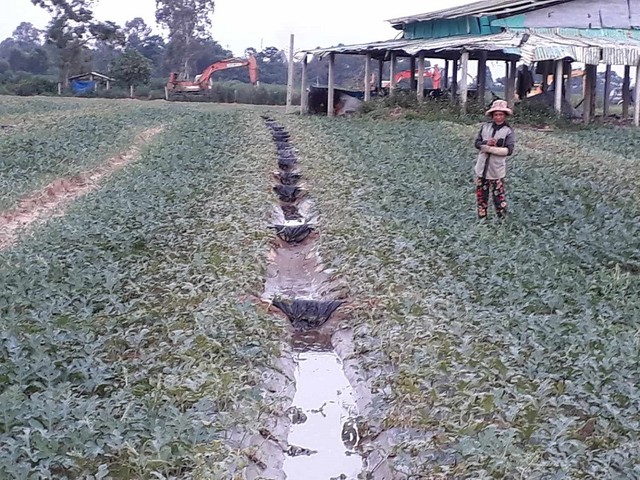 Công ty Sông Trà tố Công ty Thiên Sơn không bàn giao mặt bằng sạch, nhiều vị trí đang tranh chấp với người dân.