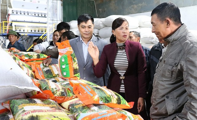 Gạo chất lượng Khu Cháy của hợp tác xã Đoàn Kết.
